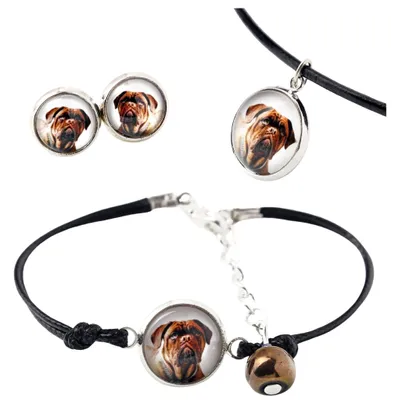 Productafbeelding van Art-Dog Sieradenset – Bordeauxdog – met geschenkdoos
