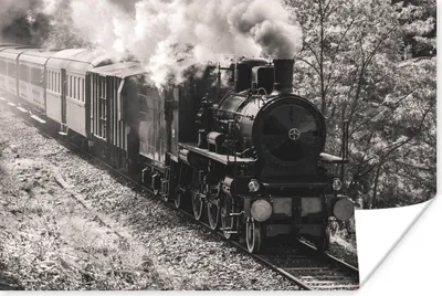 Produktbild von MuchoWow® Poster Schwarz-Weiß-Foto einer Dampflokomotive inmitten der Wiesen 60x40 cm - Schlafzimmerdekoration