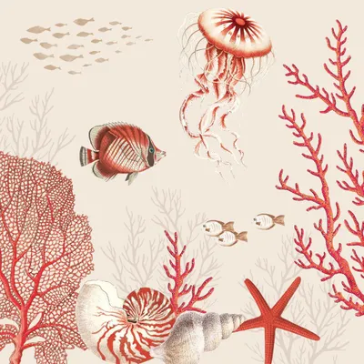 Produktbild von 20 Servietten Coral Reef - Leben Unterwasser 33x33cm