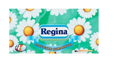 Obrázok produktu pre Regina Vreckovky 96 kusov Heřmánek