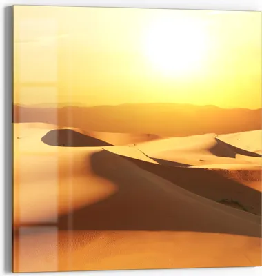 Produktbild von DEQORI Glasbild Echtglas 50x50 cm 'Goldene Stille' Wandbild Bild modern Deko