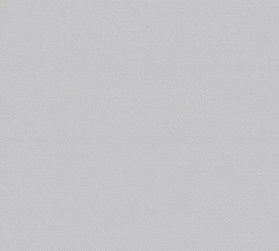 Produktbild von Esprit Vliestapete Romantic Botanics Tapete grau 10,05 m x 0,53 m 357557 35755-7