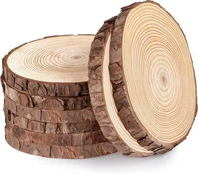 Produktbild von Famanu Holzscheiben Set 8 Stück - 16-17 cm, Unbehandelt, Für DIY Projekte und Dekoration