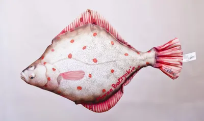 Produktbild von GABY Fish Pillows Flunder Kissen Polyester Mehrfarbig Dekokissen