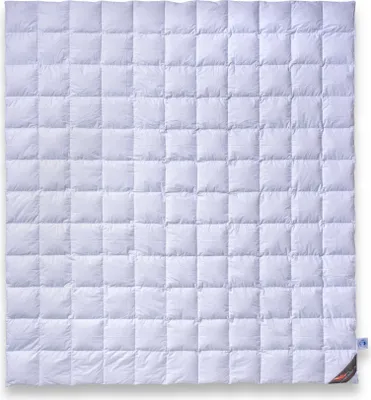 Produktbild von Sommerbettdecke 220x240 Premium: 100% neue Daunen Klasse 1, atmungsaktiv,11x12 Karo