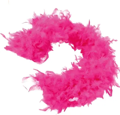 Productafbeelding van Fiestas Guirca - Federboa, verenboa, kostuum FG493 (one size) (roze)
