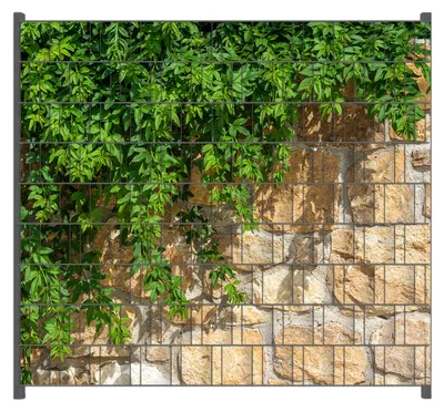Produktbild von Wallario Zaunsichtschutz mit Motiv Natursteinwand mit Ranken für Ein- und Doppelstabmatten Zäune in der Größe 200 x 180 cm