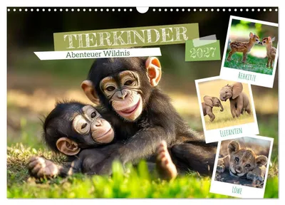 Produktbild von TIERKINDER Abenteuer Wildnis (Wandkalender 2027 DIN A3 quer), CALVENDO Monatskalender