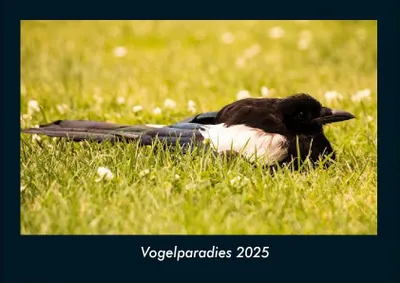 Produktbild von Vogelparadies 2025 Fotokalender DIN A4