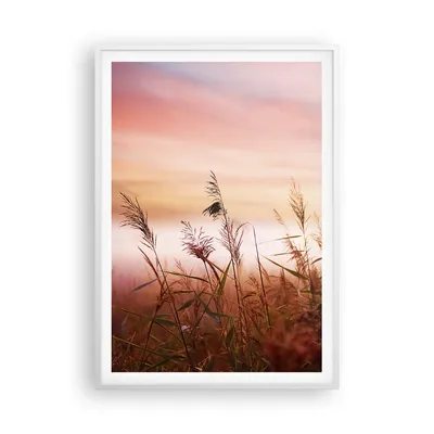 Produktbild von Gerahmtes Poster - Weißer Rahmen - Wiese Getreide Natur - 70x100 cm - Wand Bild - Wanddeko - Wandbilder - Kunstposter - Wandposter - Bilderrahmen - Bilder - Kunstdruck - Wandbild - P2WPA70x100-3530