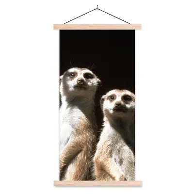 Produktbild von MuchoWow® Textilposter Schwarz - Erdmännchen - Tiere 60x120 cm mit holzfarbenen Rahmen - Holz