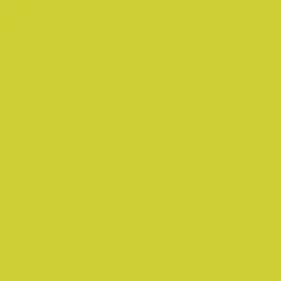 Produktbild von Duni Servietten kiwi 40 x 40 cm - 12er Pack