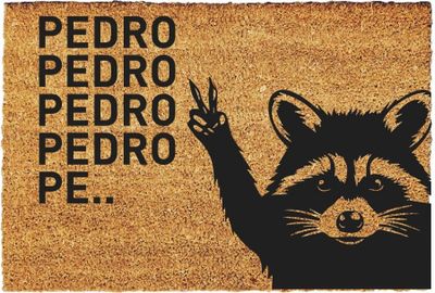 Fußmatte Kokos Pedro Waschbär - Geschenk -Fussmatten Haustür - Willkommen Doormat - Lustig Türmatte - Größe: 60x40 cm