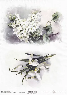Produktbild von ITD Reispapier Decoupage Bastelpapier, A4 R1974 Schneeglöckchen, weiße Anemonen