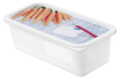 Productafbeelding van Rotho set van 3 vriesdoses, artikelnummer 7553602120