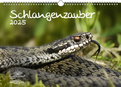 Produktbild von Schlangenzaubern DIN A3 Kalender für 2025 - Seelenzauber