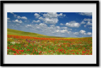 Produktbild von Bild 60x40 MDF-Rahmen Wandkunst Blumen Wiese Landschaft