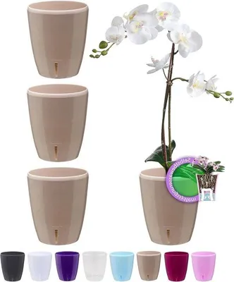 Produktbild von Selbstgießende Orchideenpötte 4er Set 16,5 cm Indoor