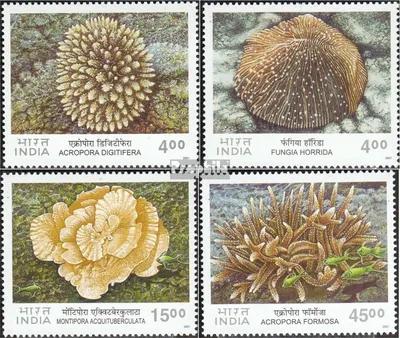 Produktbild von Briefmarken Indien 2001 Mi 1842-1845 (kompl.Ausg.) postfrisch Korallen