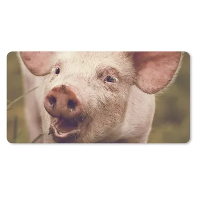 Produktbild von MuchoWow® Schreibtischunterlage Schwein - Porträt - Tier 80x40 cm - XXL Mauspad - Gaming Mauspad