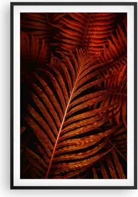 Produktbild von Gerahmtes Poster - Schwarzer Rahmen - Rot Blätter Palmen - 61x91,5 cm - Wand Bild - Wanddeko - Wandbilder - Kunstposter - Wandposter - Bilderrahmen - Bilder - Kunstdruck - P2BPA61x91-4816