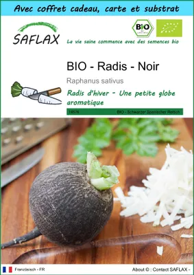 Image de SAFLAX Ensemble-cadeau -- Radis - Noir - 100 graines - Raphanus