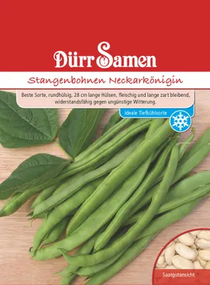 Produktbild von Dürr-Samen - Stangenbohnen Neckarkönigin - Saatgut - 0315