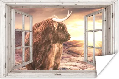 Produktbild von MuchoWow® Poster Schottischer Highlander - Aussicht - Sonnenuntergang 30x20 cm - Plakate - Print