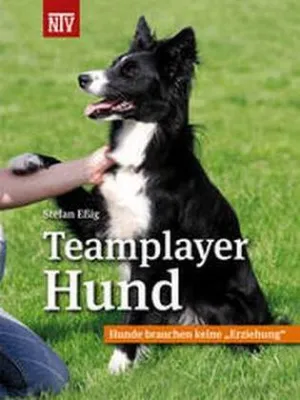 Immagine prodotto di Teamplayer Hund
