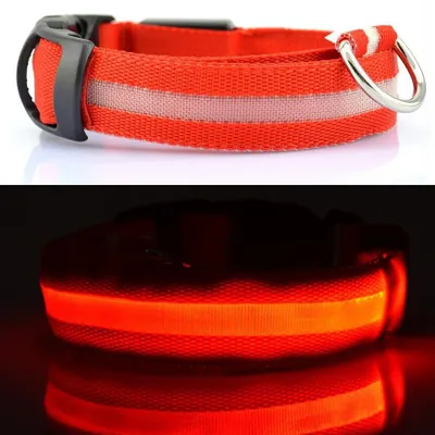 Produktbild von Hundehalsband Leuchthalsband Halsband für Hunde LED USB Aufladbar mit Akku ROT - Größe Gr. M (37 - 46cm)