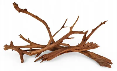 Zdjęcie produktu dla Dekoracja akwariowa – korzeń, zestaw 3 sztuk Mangrove 50–70 cm, drewno naturalne