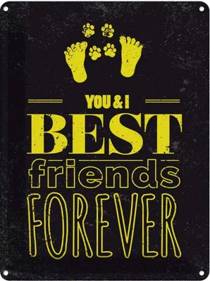 Produktbild von vianmo Blechschild 40x30 cm Freunde You I best friends forever Spruch Zitat