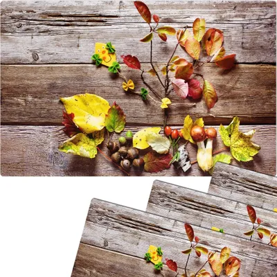 Produktbild von Abwaschbare Tischsets 4er Set buntes Herbst-Laub Blätter