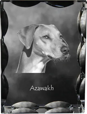 Produktbild von Azawakh Kristallrahmen mit Hund Art-Dog