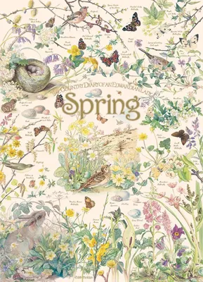 Produktbild von Cobble Hill Country Diary: Spring, 1000 Stück(e)