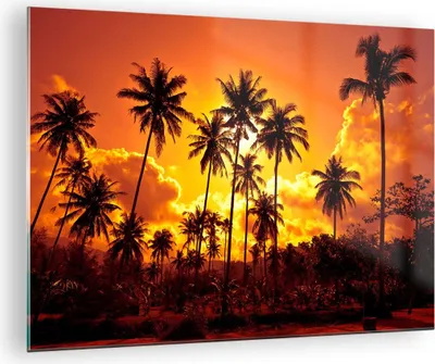 Produktbild von Bilder auf glas - Palmen Bäume Sonne - 70x50cm - Glasbilder - Wandbilder - Kunstdruck - zum Aufhängen bereit - Wanddekoration aus Glas - Glas Bilder - Wandbild auf Glas - Einteilig - GAA70x50-0187