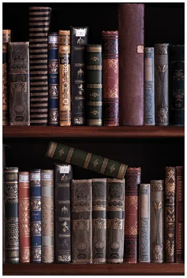 Produktbild von Wallario Wandbild aus Acryl, 90 x 60 cm, freischwebende Optik - Bücherregal mit alten Büchern