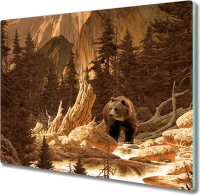 Produktbild von Coloray Herdabdeckplatte 60x52 cm Schneidebrett Kochplattenabdeckung Küchenbrett Hackbrett - Bärenbergwald Natur