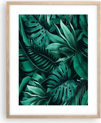 Produktbild von Gerahmtes Poster - Rahmen in heller Eiche - Blätter Grafiken Monstera - 40x50 cm - Wand Bild - Wanddeko - Wandbilder - Kunstposter - Wandposter - Bilderrahmen - Bilder - Kunstdruck - P2NPA40x50-4886