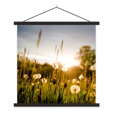 Produktbild von MuchoWow® Textilposter Löwenzahn - Gras - Sonnenuntergang 40x40 cm mit schwarzem Rahmen - Fotos