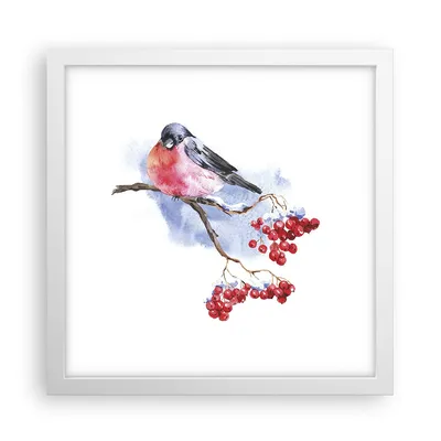 Produktbild von Gerahmtes Poster - Weißer Rahmen - Dompfaff auf Zweig - 30x30 cm - Wand Bild - Wanddeko - Wandbilder - Kunstposter - Wandposter - Bilderrahmen - Bilder - Kunstdruck - Wandbild - P2WAC30x30-4187