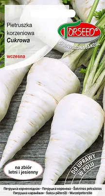 Produktbild von Samen der Zucker-Petersilienwurzel 3g - Torseed