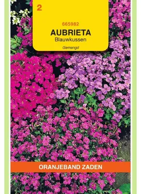 Produktbild von Oranjeband Aubrietia Hybrida Grandiflora Mischung - 1 Packung Saatgut
