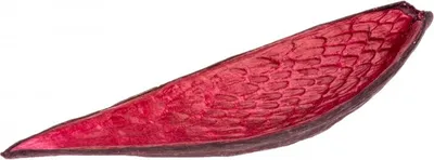 Produktbild von Canoinha azalee