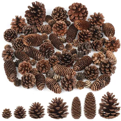 Immagine prodotto di Set di 65 pigne naturali per decorazioni