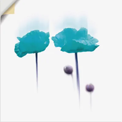 Produktbild von ARTland Wandbild, selbstklebend Blüte abstrakt II Größe: 70x70 cm