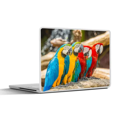 Produktbild von MuchoWow® Laptop Aufkleber Sticker Cover Vögel - Papagei - Tropisch - Natur 36.5x27.5 cm - Laptop-Sticker