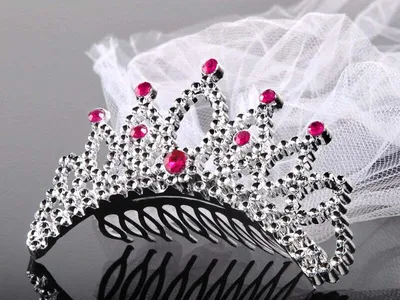 Produktbild von PartyDeco Junggesellinnenabschieds-Tiara mit Schleier , Silber, Karnevalskostüm-Diadem, Weiblich, Silber, 1 Stück(e)