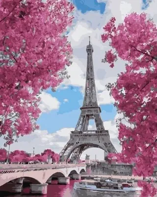 Produktbild von Malen nach Zahlen - Magnolien in Paris 40x50cm