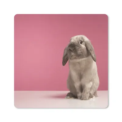 Produktbild von MuchoWow® Mauspad Mousepad Kaninchen - Tier - Rosa 40x30 cm - Mousepads - Maus Mat - Pad - Mausunterlage - Anti Rutsch